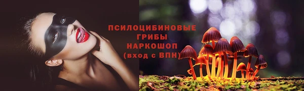 apvp Зерноград