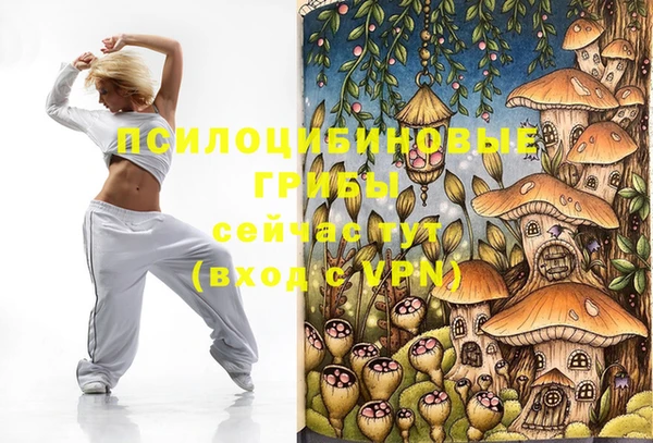 apvp Зерноград