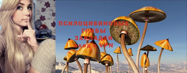 mdpv Зеленокумск