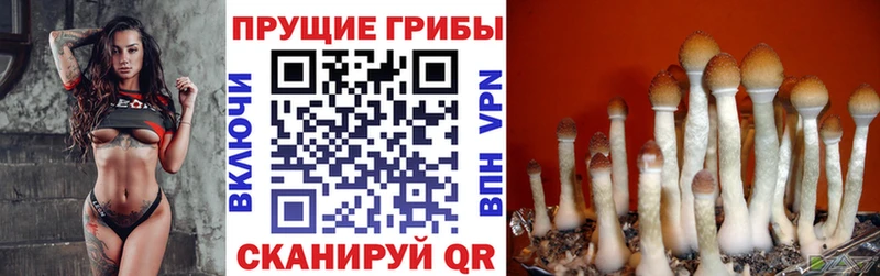 Псилоцибиновые грибы мухоморы  Купить  Белебей 